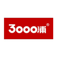 3000