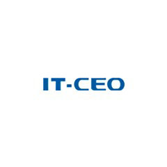 IT-CEO